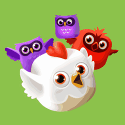 Birds Lineup