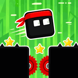 Ninja Platformer Rage