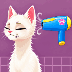Pet Fashion Stylist