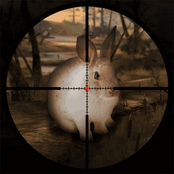 Classical Rabbit Sniper Hunting 2019 Classical Rabbit Sniper Hunting 2019