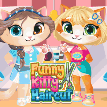 Funny Kitty Haircut Funny Kitty Haircut