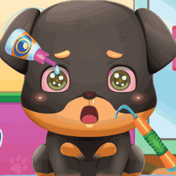 Funny Puppy Emergency Funny Puppy Emergency