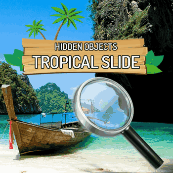 Hidden Objects Tropical Slide Hidden Objects Tropical Slide