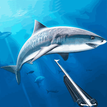Hunting underwater spearfishing Hunting underwater spearfishing