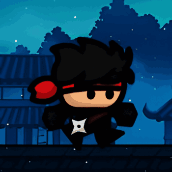 I am The Ninja 2