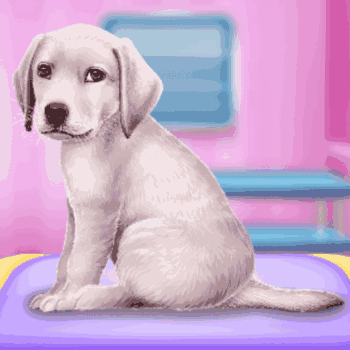 Labrador at the Doctor Salon