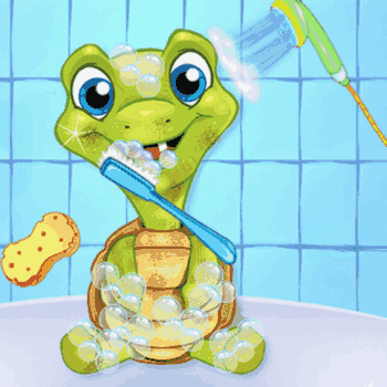 Pet Wash