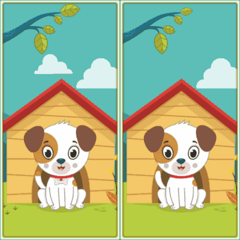 Spot 5 Differences Spot 5 Differences