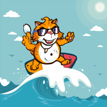 Surfer Cat