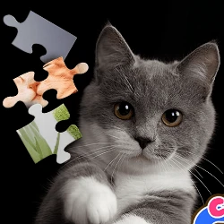 CUTE CATS JIGSAW PUZZLE