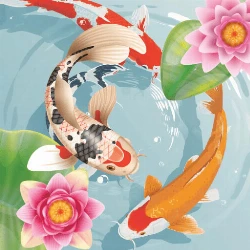 Koi Fish Pond