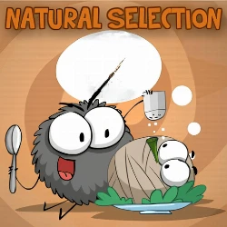 Natural Selection