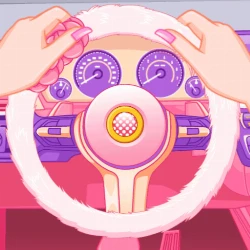 Princess Driver Quiz