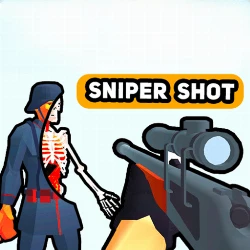 Sniper Shot Bullet Time